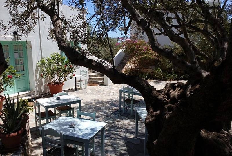 Spitia Vasili Apart otel Kapsálion Dış mekan fotoğraf